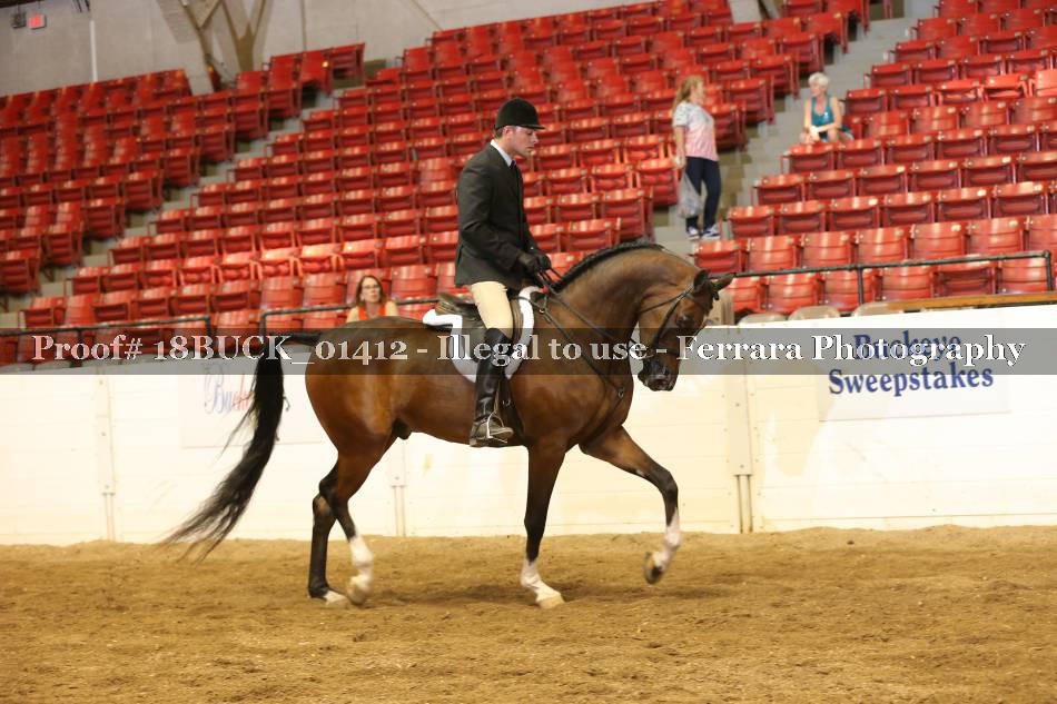 Proof 18BUCK_01412