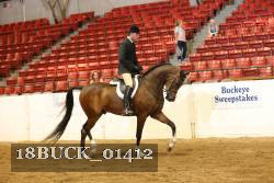 18BUCK_01412 proof