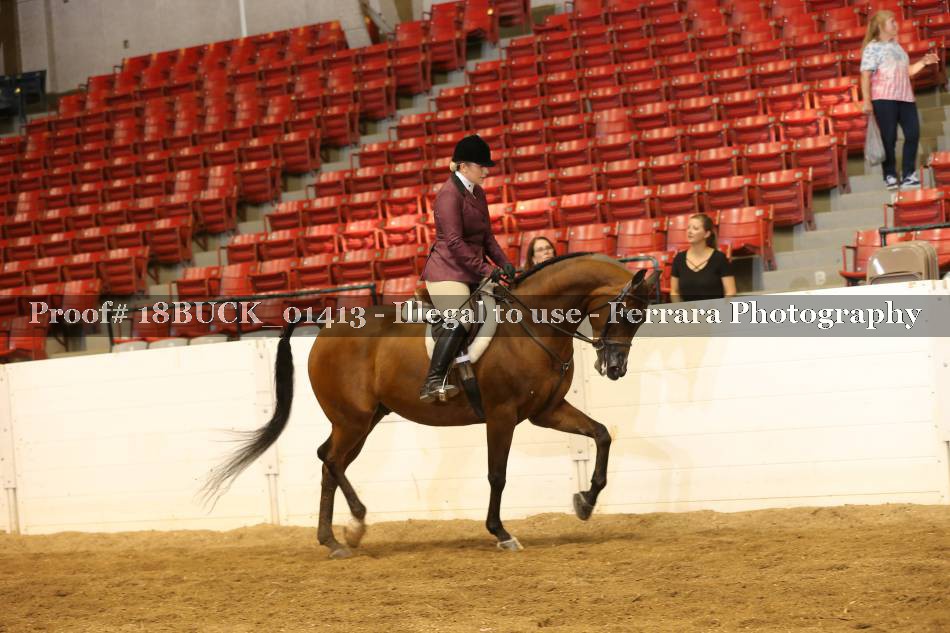 Proof 18BUCK_01413