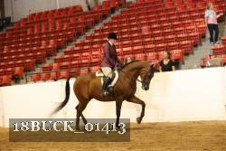 18BUCK_01413 proof