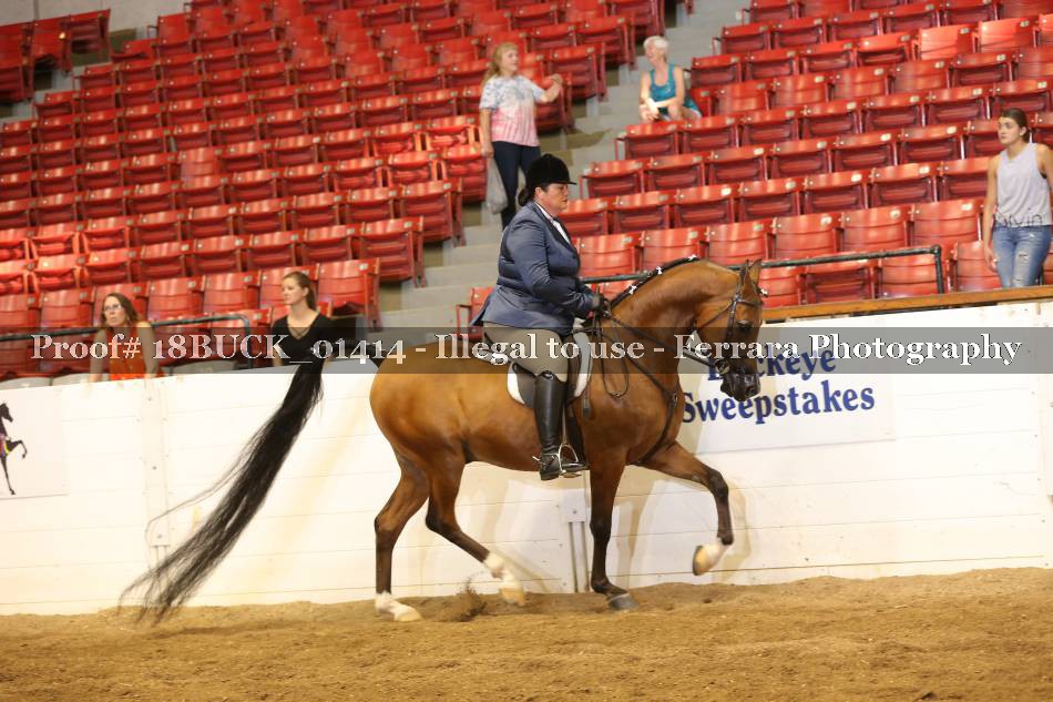 Proof 18BUCK_01414