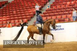 18BUCK_01414 proof