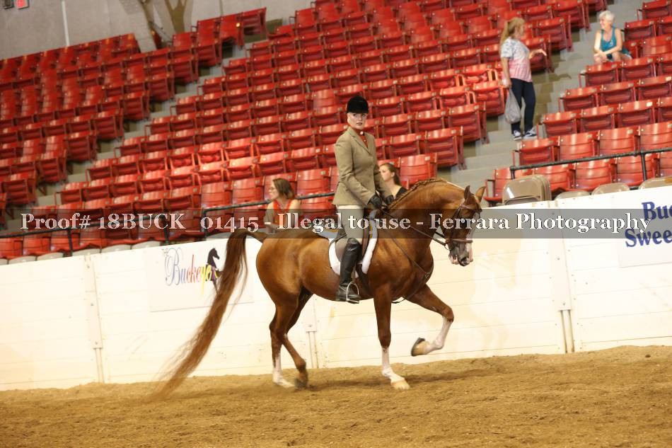 Proof 18BUCK_01415