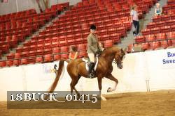 18BUCK_01415 proof