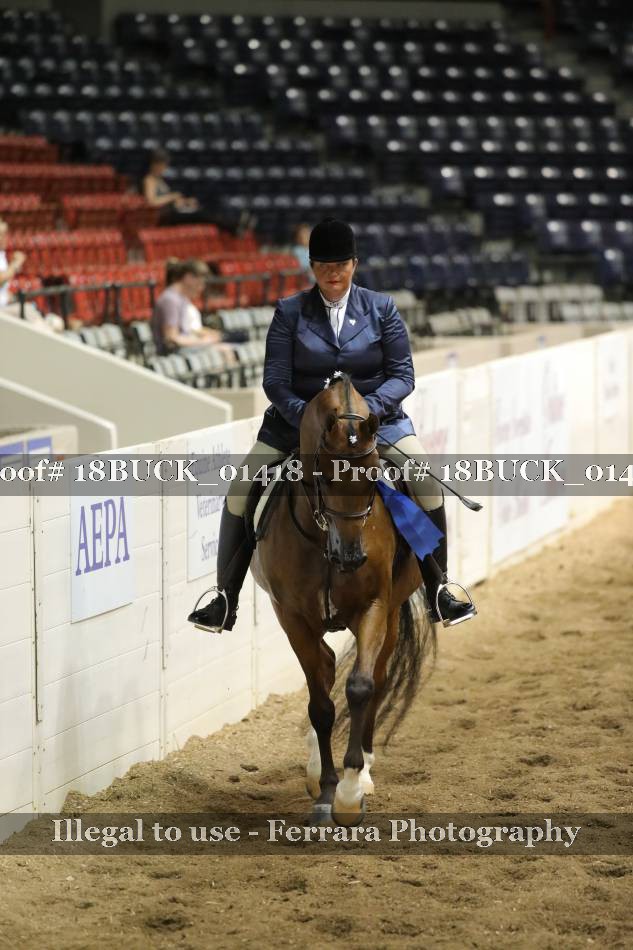 Proof 18BUCK_01418