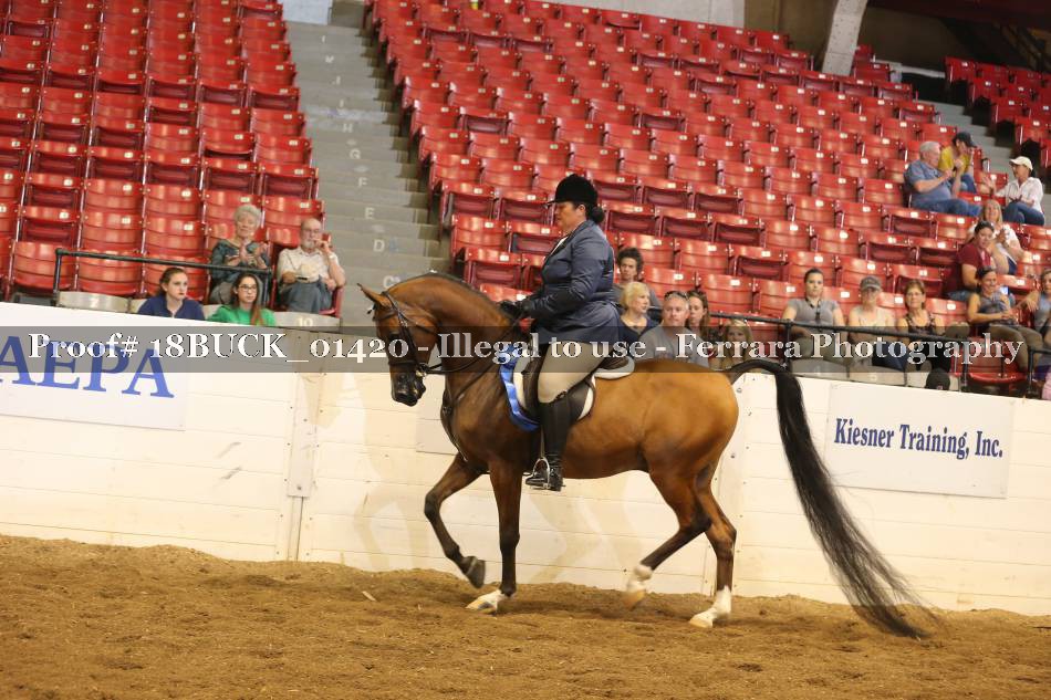 Proof 18BUCK_01420
