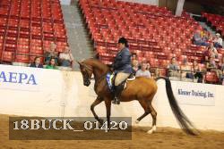 18BUCK_01420 proof