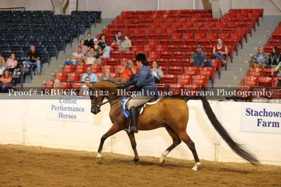 Proof 18BUCK_01422