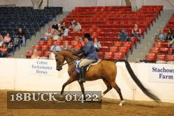 18BUCK_01422 proof