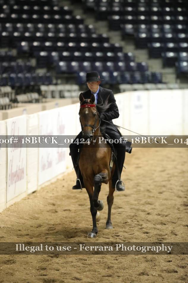 Proof 18BUCK_01424
