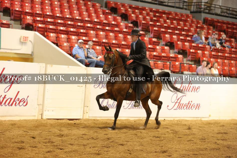Proof 18BUCK_01425