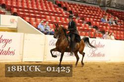 18BUCK_01425 proof