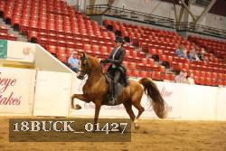 18BUCK_01427 proof