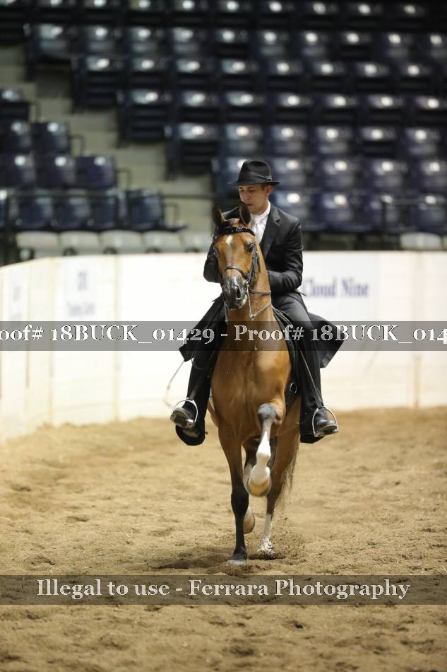Proof 18BUCK_01429