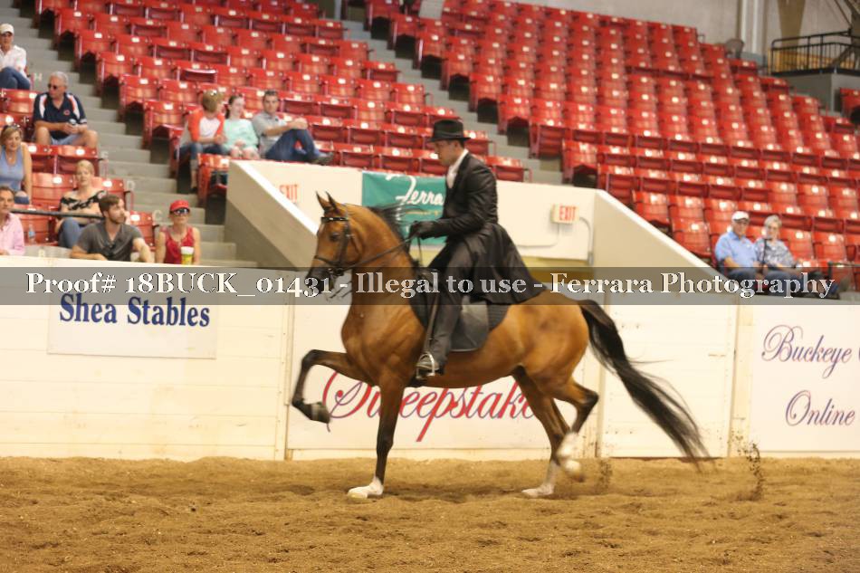 Proof 18BUCK_01431