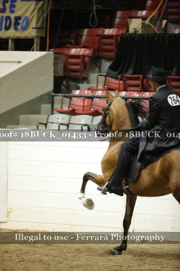 Proof 18BUCK_01433