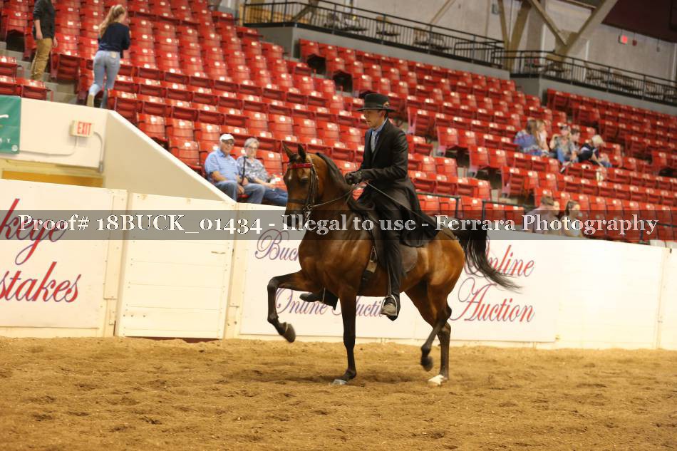 Proof 18BUCK_01434