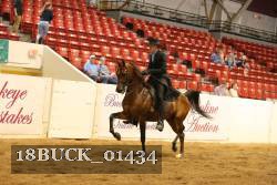 18BUCK_01434 proof