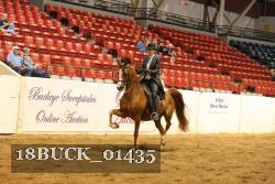 18BUCK_01435 proof