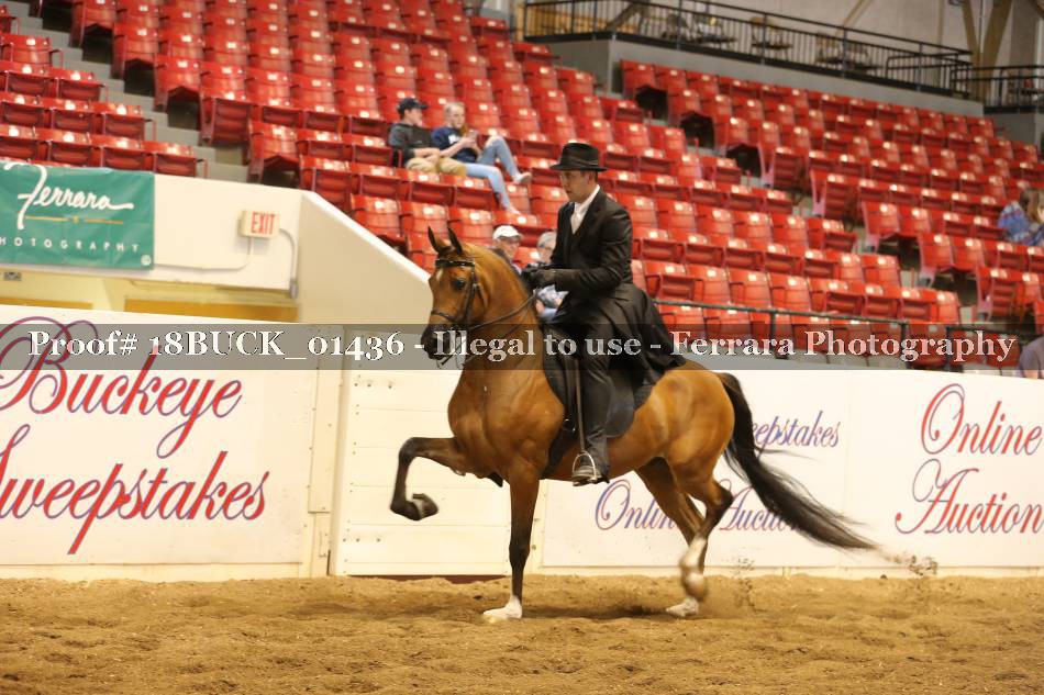 Proof 18BUCK_01436
