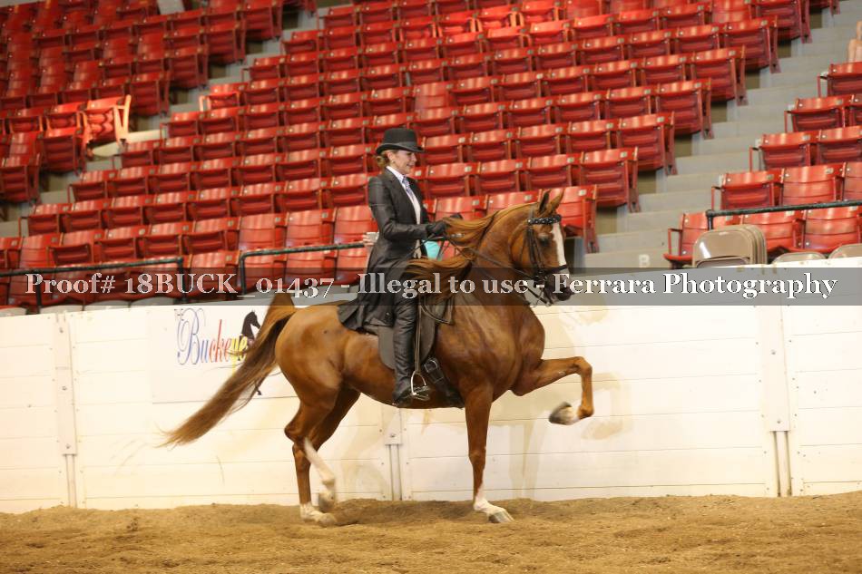 Proof 18BUCK_01437