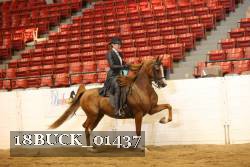 18BUCK_01437 proof