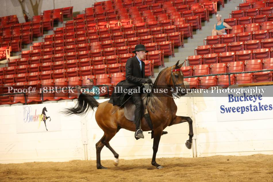 Proof 18BUCK_01438
