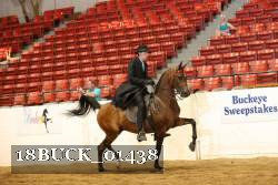 18BUCK_01438 proof