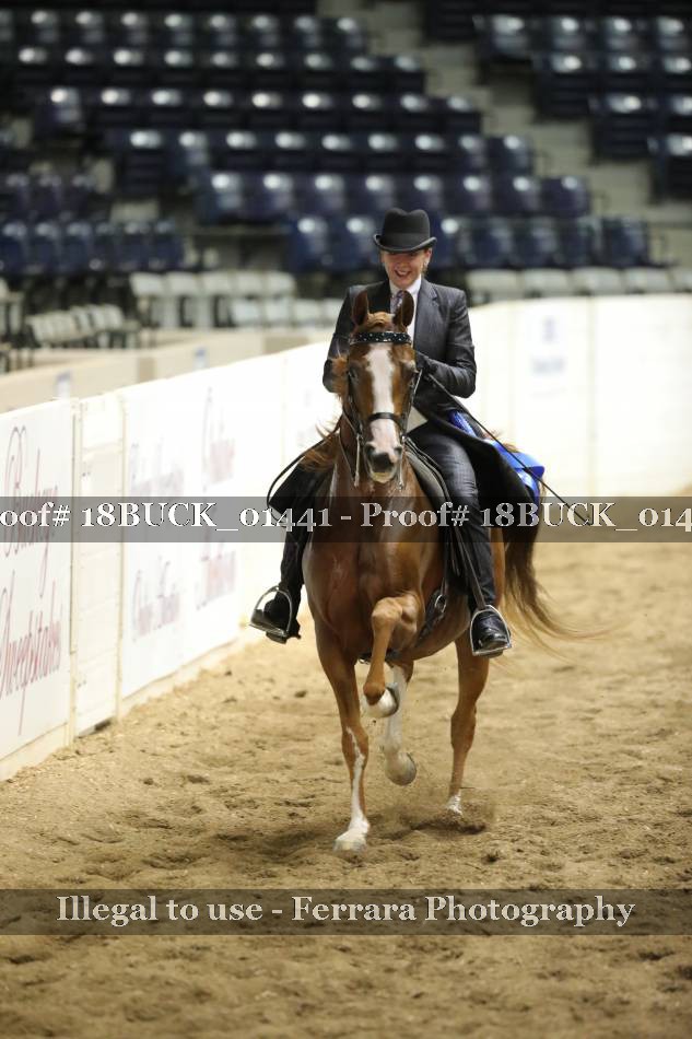 Proof 18BUCK_01441