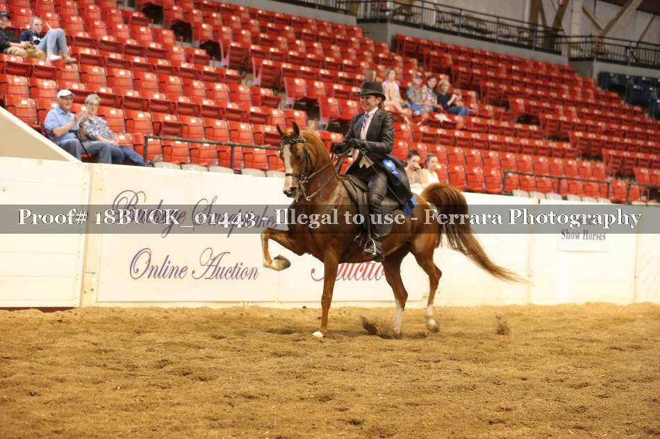Proof 18BUCK_01443