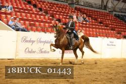18BUCK_01443 proof