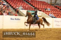 18BUCK_01444 proof