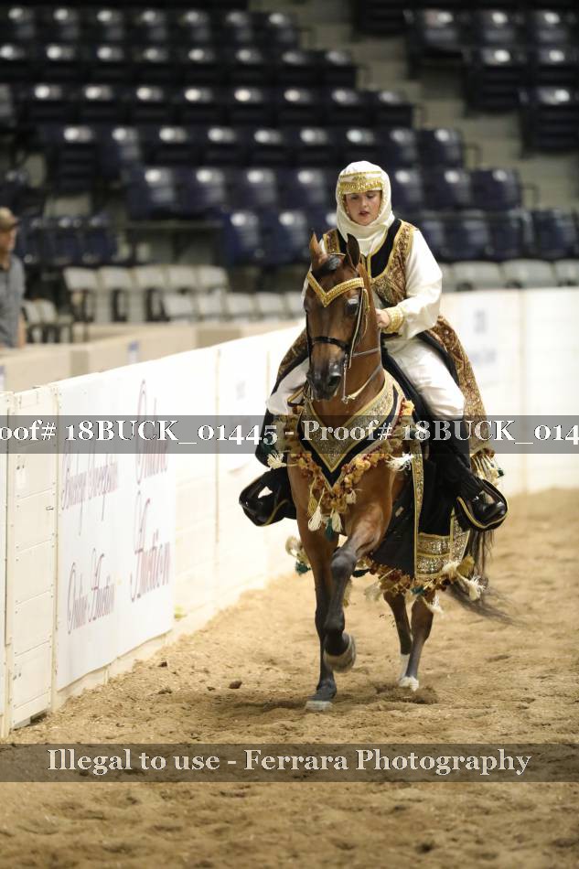 Proof 18BUCK_01445