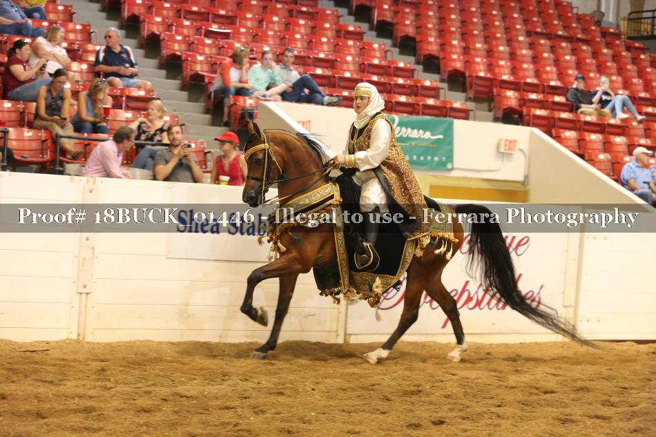 Proof 18BUCK_01446