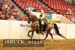 18BUCK_01446 proof