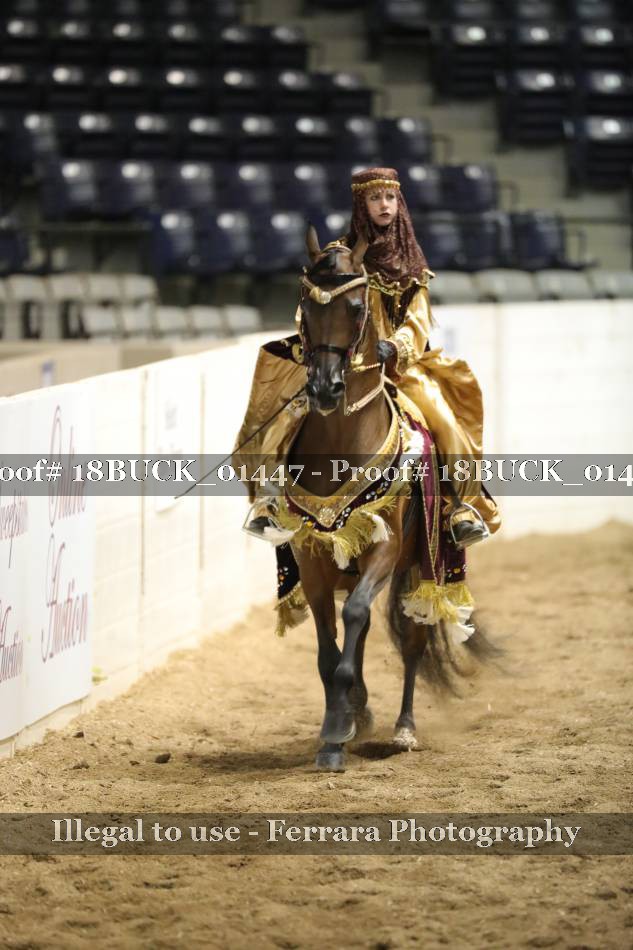 Proof 18BUCK_01447