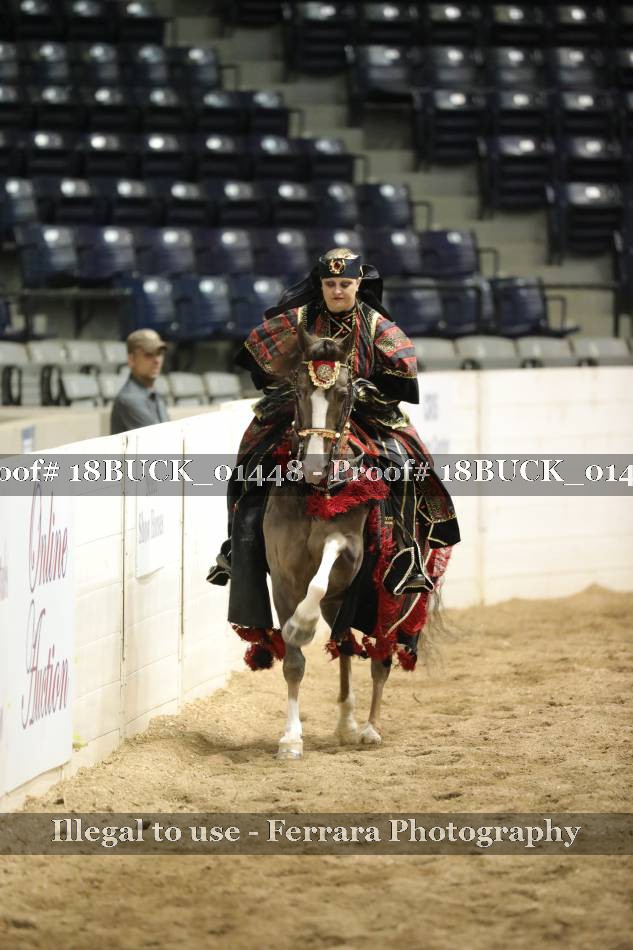 Proof 18BUCK_01448