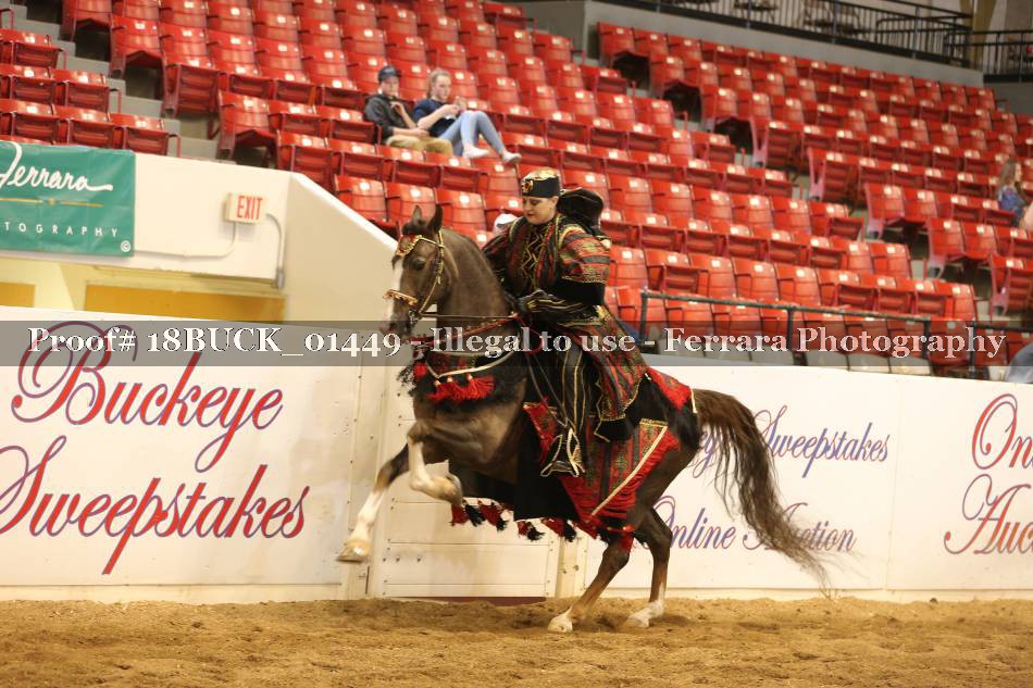 Proof 18BUCK_01449