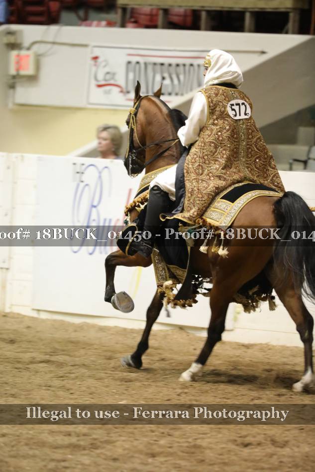Proof 18BUCK_01450