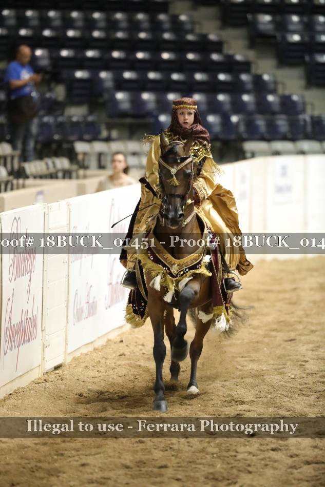 Proof 18BUCK_01451