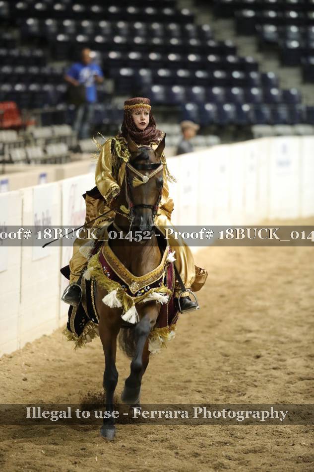Proof 18BUCK_01452