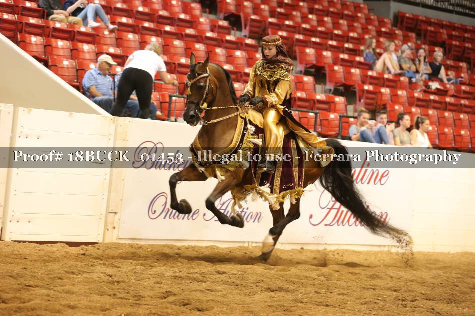 Proof 18BUCK_01453