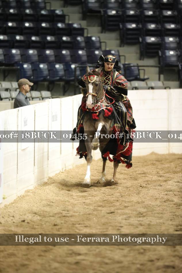 Proof 18BUCK_01455
