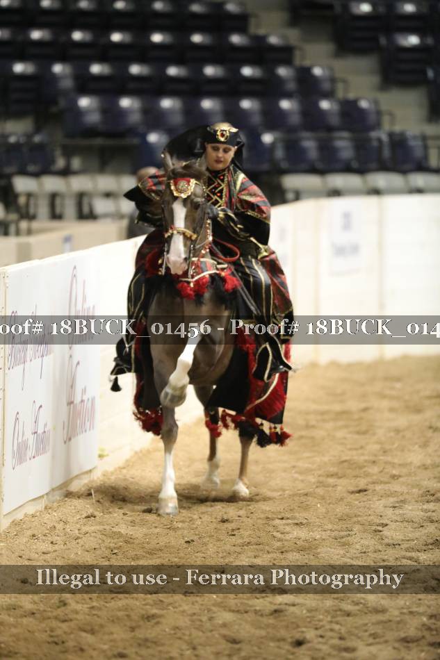 Proof 18BUCK_01456