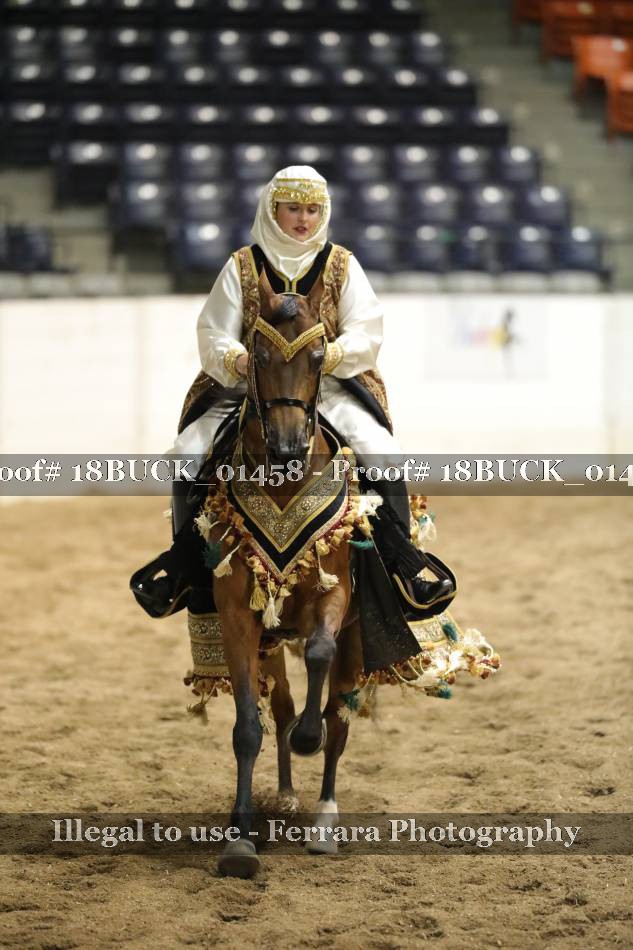 Proof 18BUCK_01458