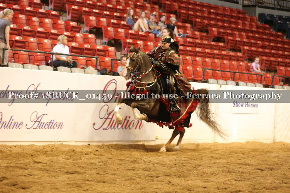 Proof 18BUCK_01459