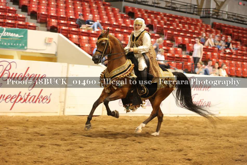 Proof 18BUCK_01460