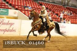 18BUCK_01460 proof