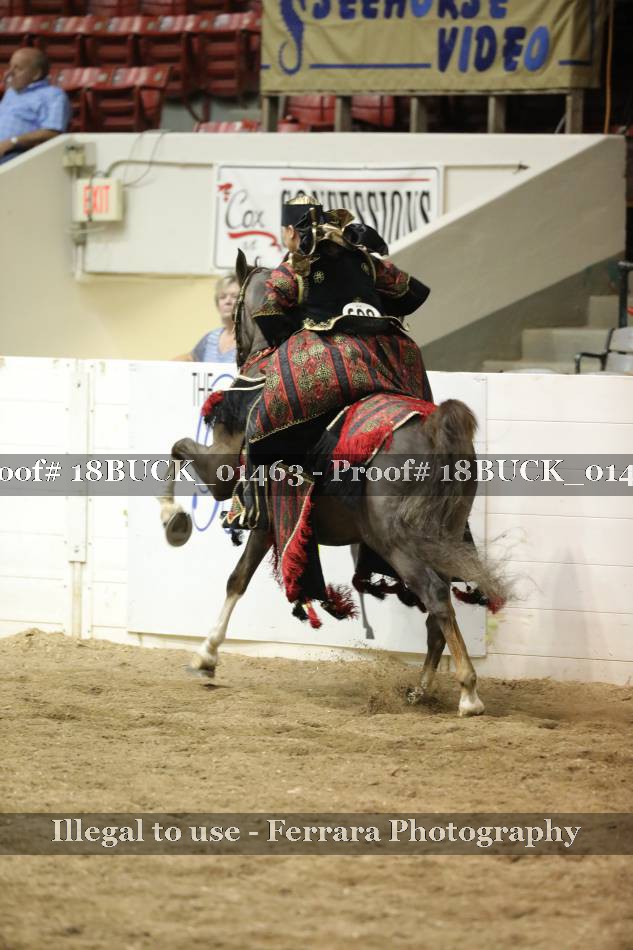 Proof 18BUCK_01463
