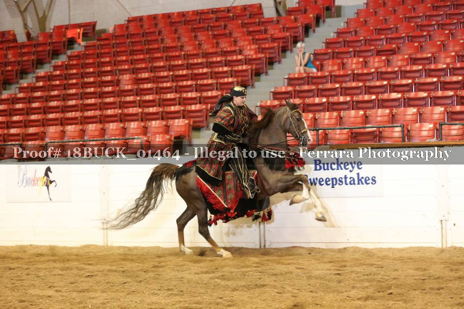 Proof 18BUCK_01464